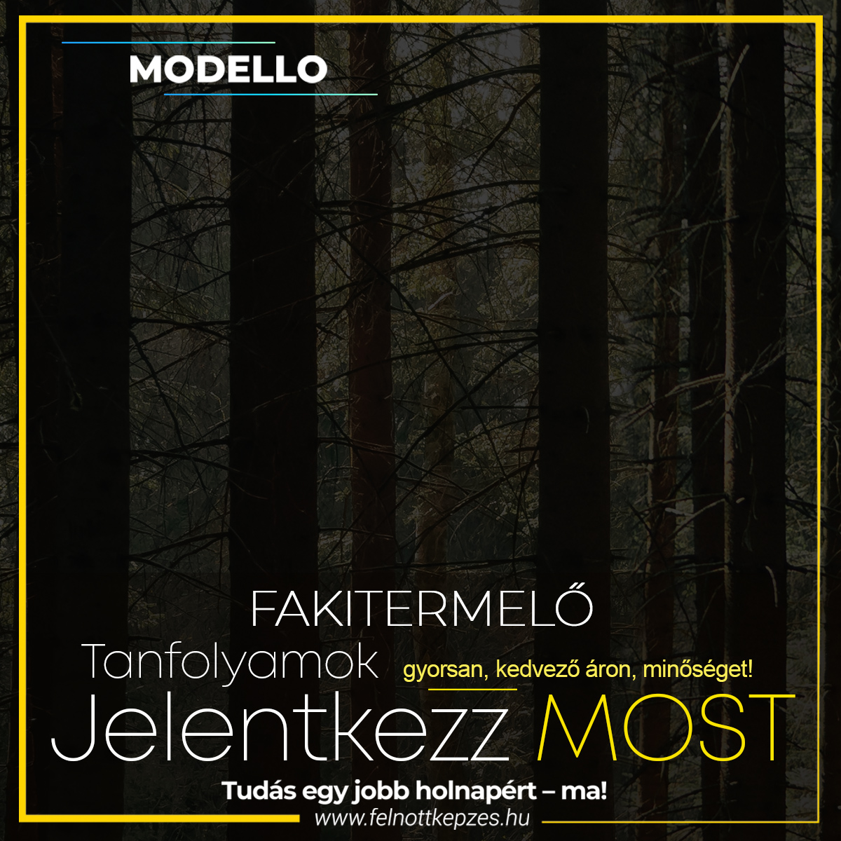 fakitermelo tanfolyam felnottkepzes - Felnőttképzés - Tanfolyam - Képzés